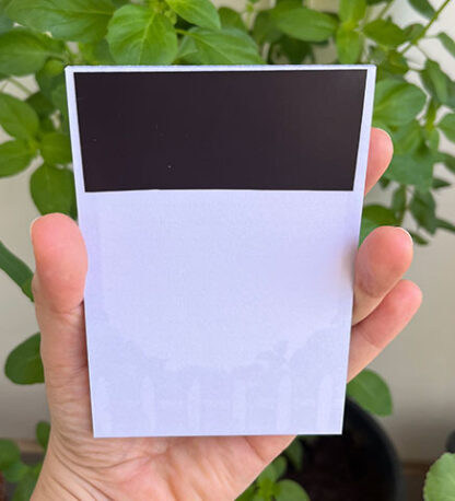 Bloquinho de notas com imã Hortência - Image 2